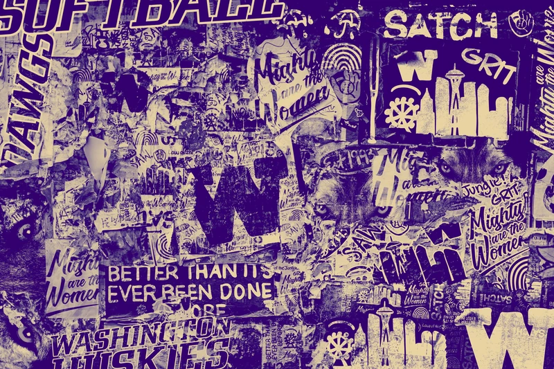 Softball collage wall