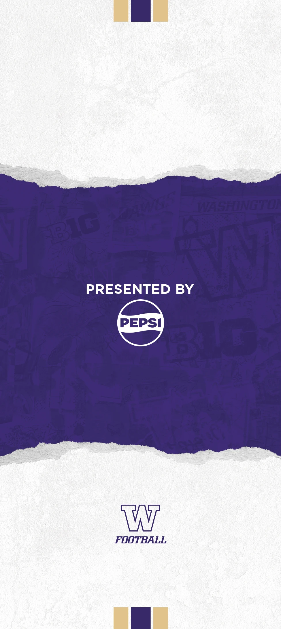 Commemorative ticket back, presented by Pepsi