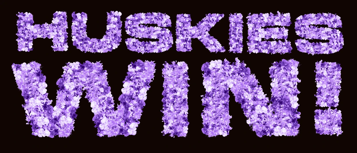 Huskies Win! floral text with the purple gradient overlay
