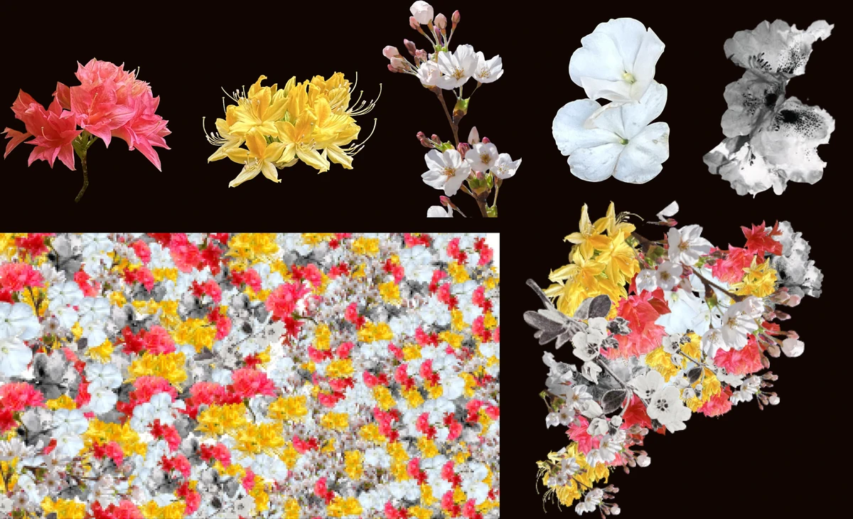 Individual flower cutouts, a floral pattern and a floral cluster